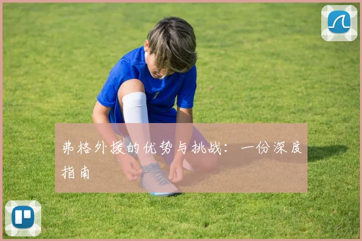 弗格外援的优势与挑战：一份深度指南